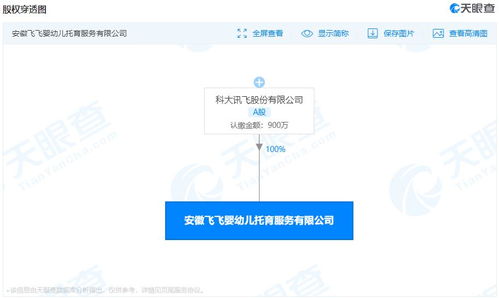 科大訊飛多元化布局 進(jìn)軍嬰幼兒托育服務(wù)領(lǐng)域